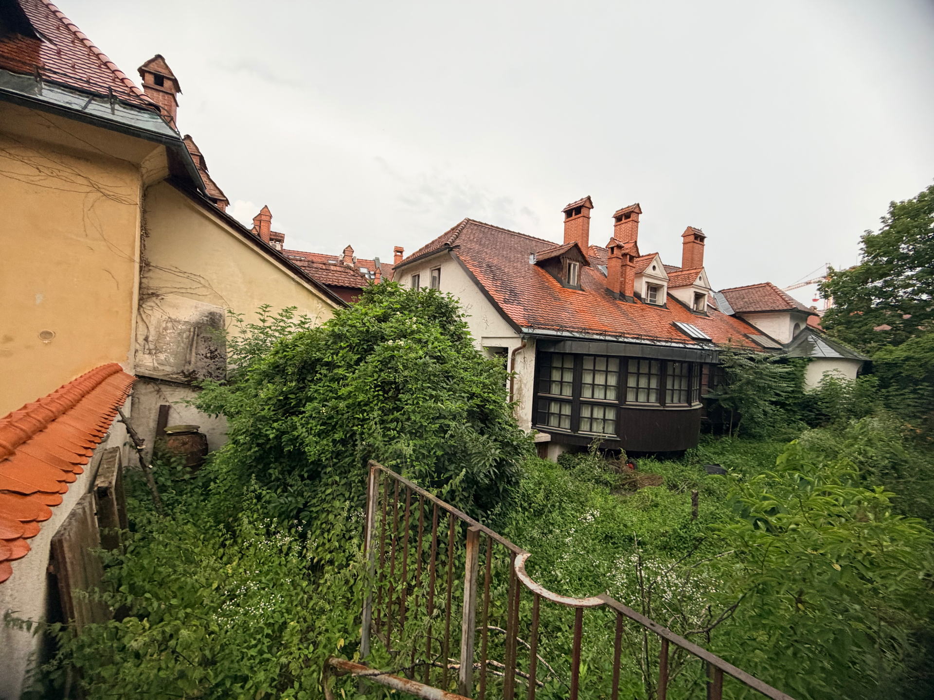 Preobrazba divjine v oazo — pred
